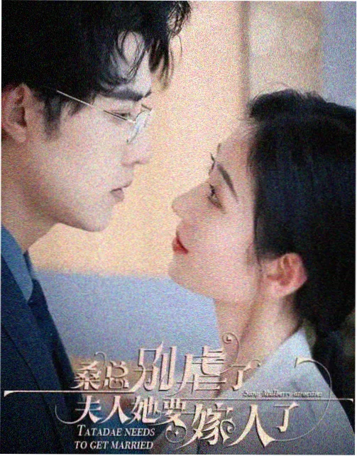 高清剧集回声档案